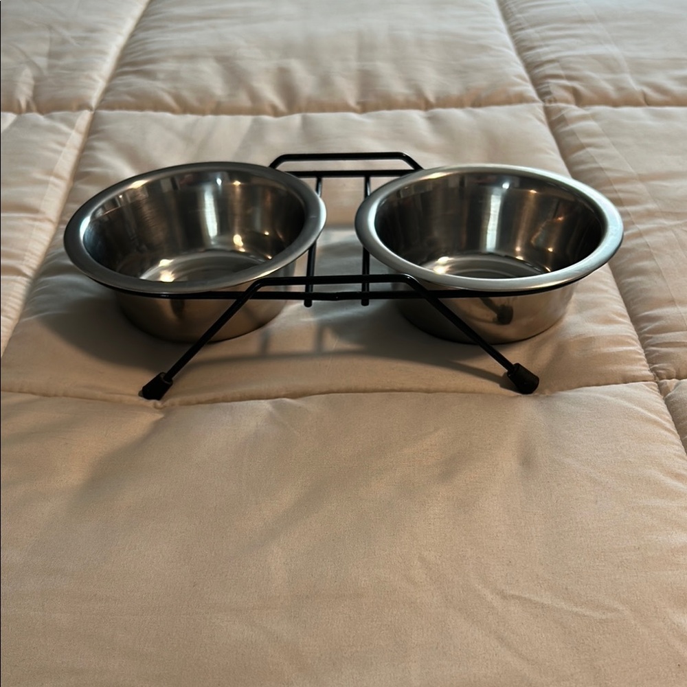 Stainless Steel Pet Bowl Set with Black Stand
